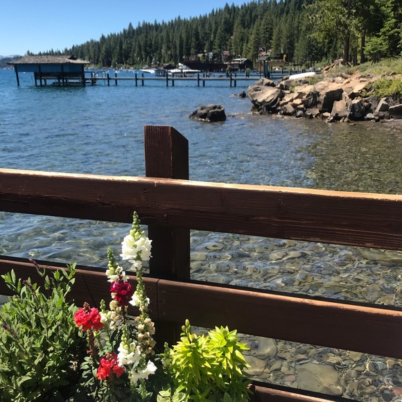 Meet your Posher, Janette - Picture 1 of 1